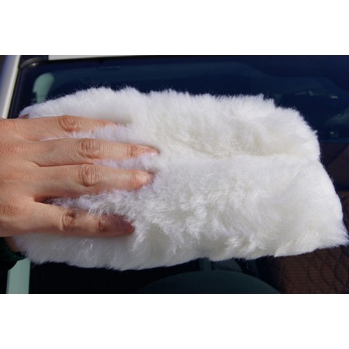 MOUTON MASTER 2-500x500